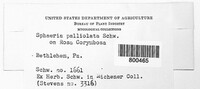 Image Associated With the Occurence
